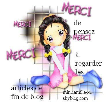 allez a la fin de mon blog