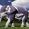 milka ??!!