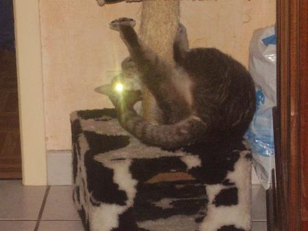 caline dans tt c &eacute;tats ! lOl