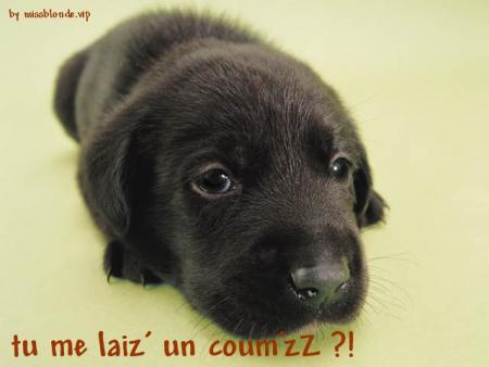 comment r&eacute;sister... ?!
