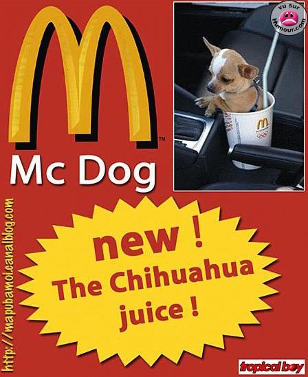 Mc Dog ?!