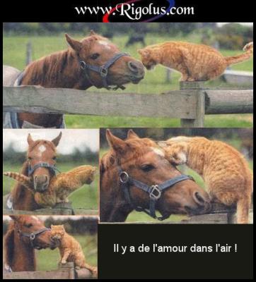 ya de l'amour dans l'air !