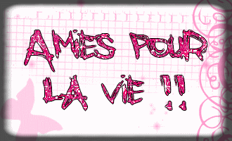 amie a vie