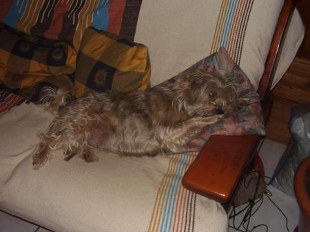 Olympe
