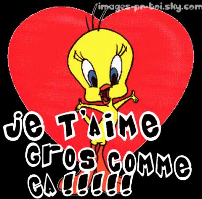ma titiiiiii ze t'aime gro com &ccedil;a !!