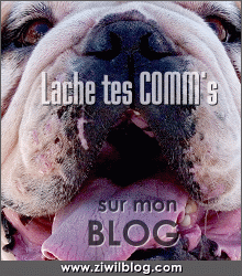 lache t&eacute; p'tits coum