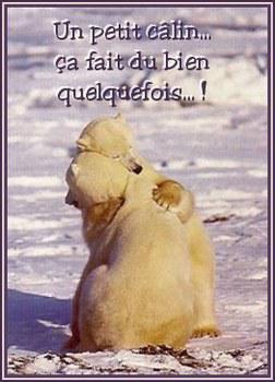 un p'tit calin ?!