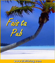 va y f&eacute; ta pub !