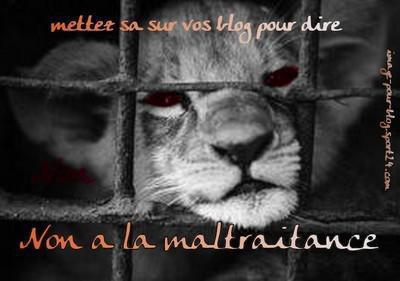 NON &agrave; la maltraitance !