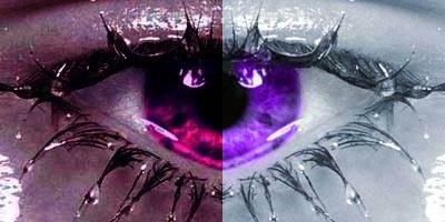 oeil