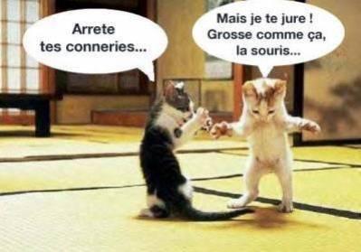 mor2rire