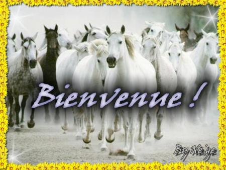 bienvenu !
