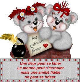 une amiti&eacute; vr&eacute; !