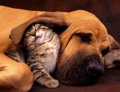 o ke c mignion !