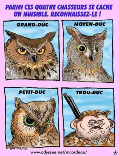 lequel est un nuisible ?