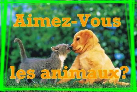vous aimez les anim0 ?