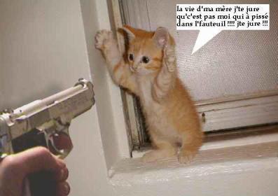 mdr