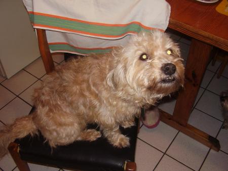 la frimousse de mn chouchou a mwa !