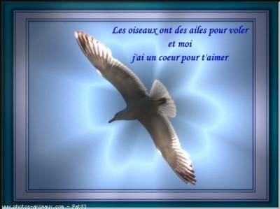 c bo non ?!
