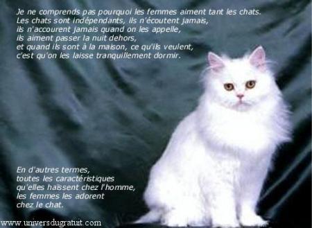un chat que des d&eacute;fauts pour les hommes