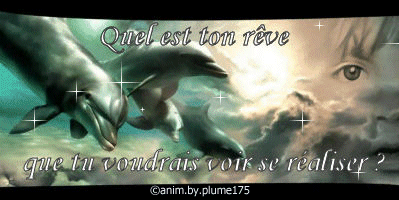 kel r&ecirc;ve voudrais tu r&eacute;alis&eacute; ?