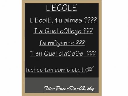 petit questionaire