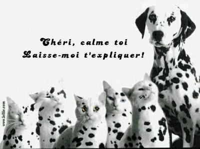 c un peux bizzar nan ?!
